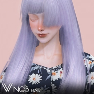 [WINGSDG] WINGS HAIR 